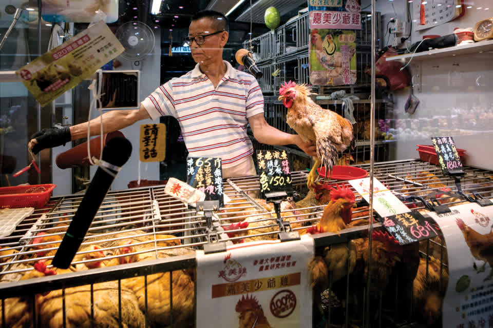 Buying live produce is a feature of Hong Kong fresh market culture.