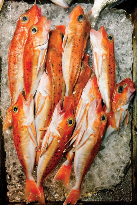 Fresh fish is available in Link REIT TKO market. Fresh fish is available in Link REIT TKO market.